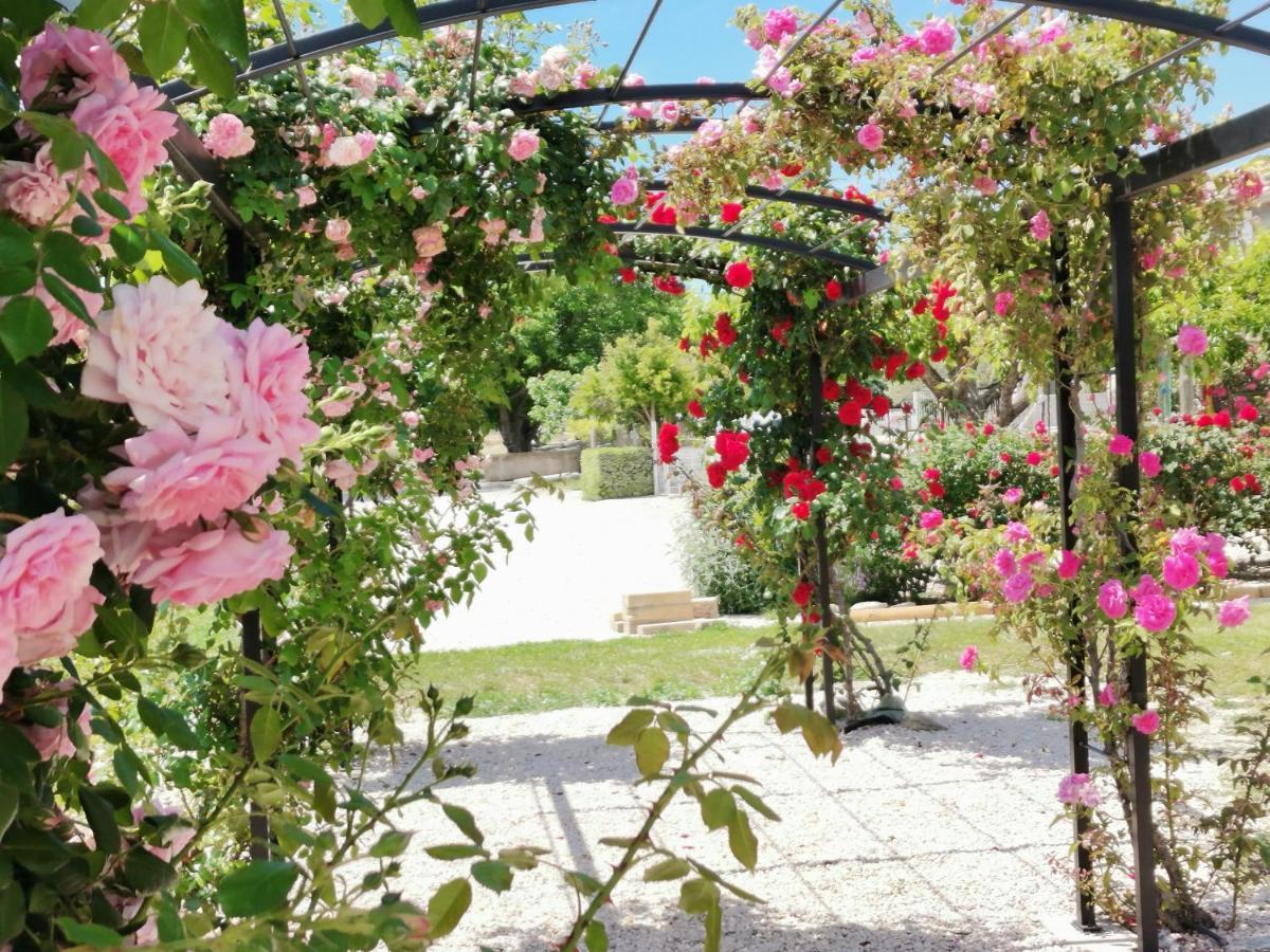 Gite En Provence "Rose" Modene 외부 사진