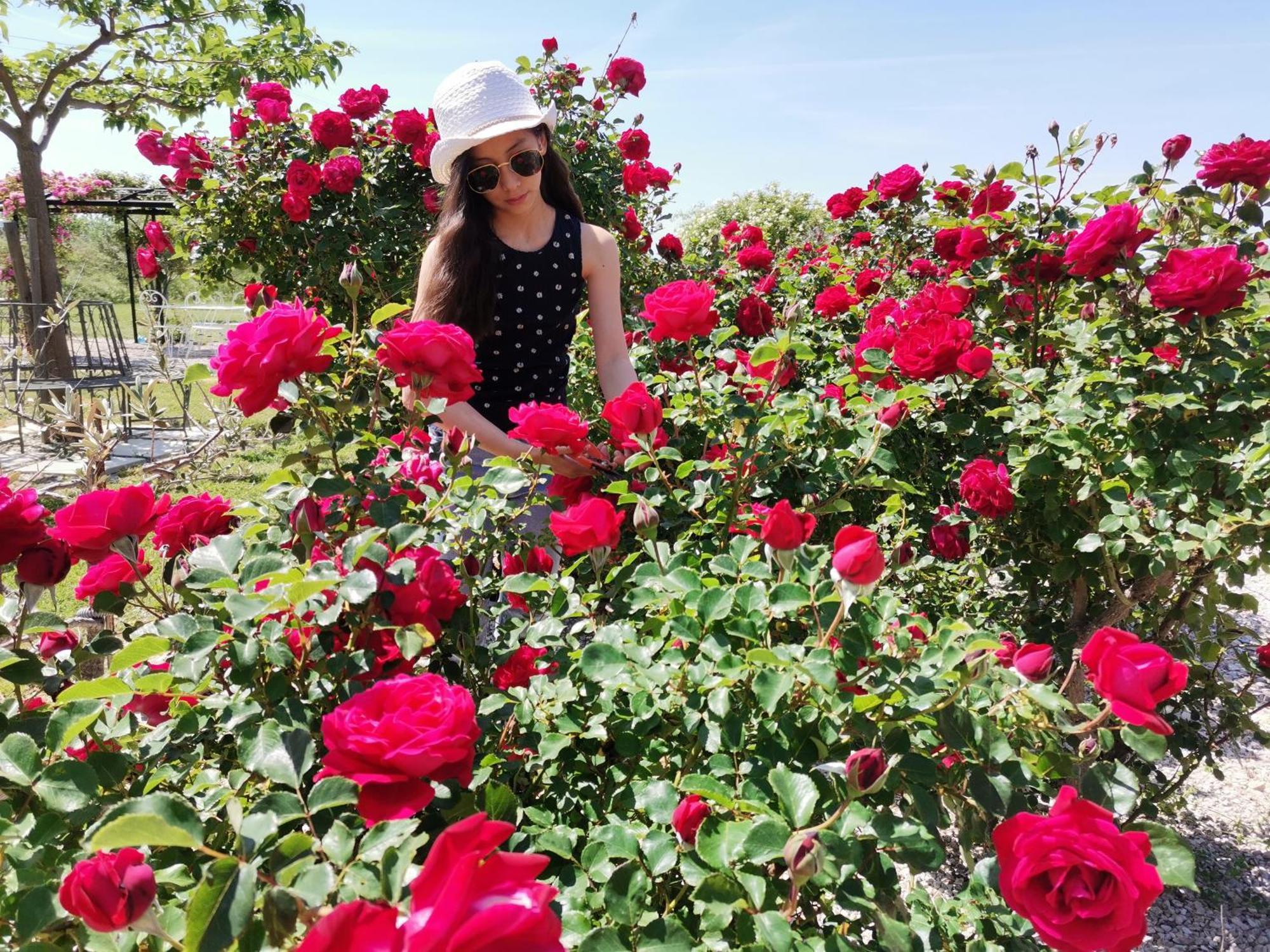 Gite En Provence "Rose" Modene 외부 사진