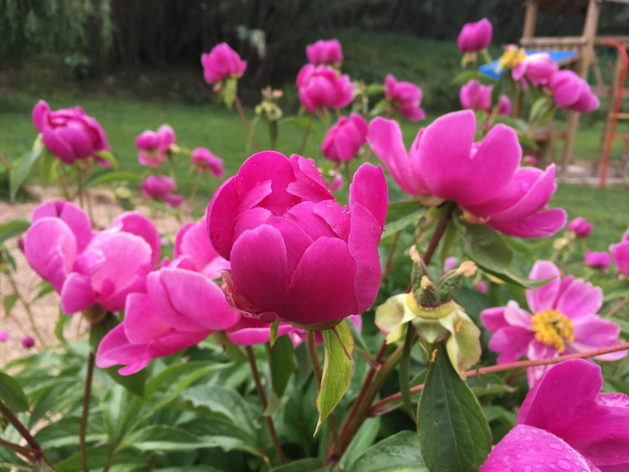 Gite En Provence "Rose" Modene 외부 사진