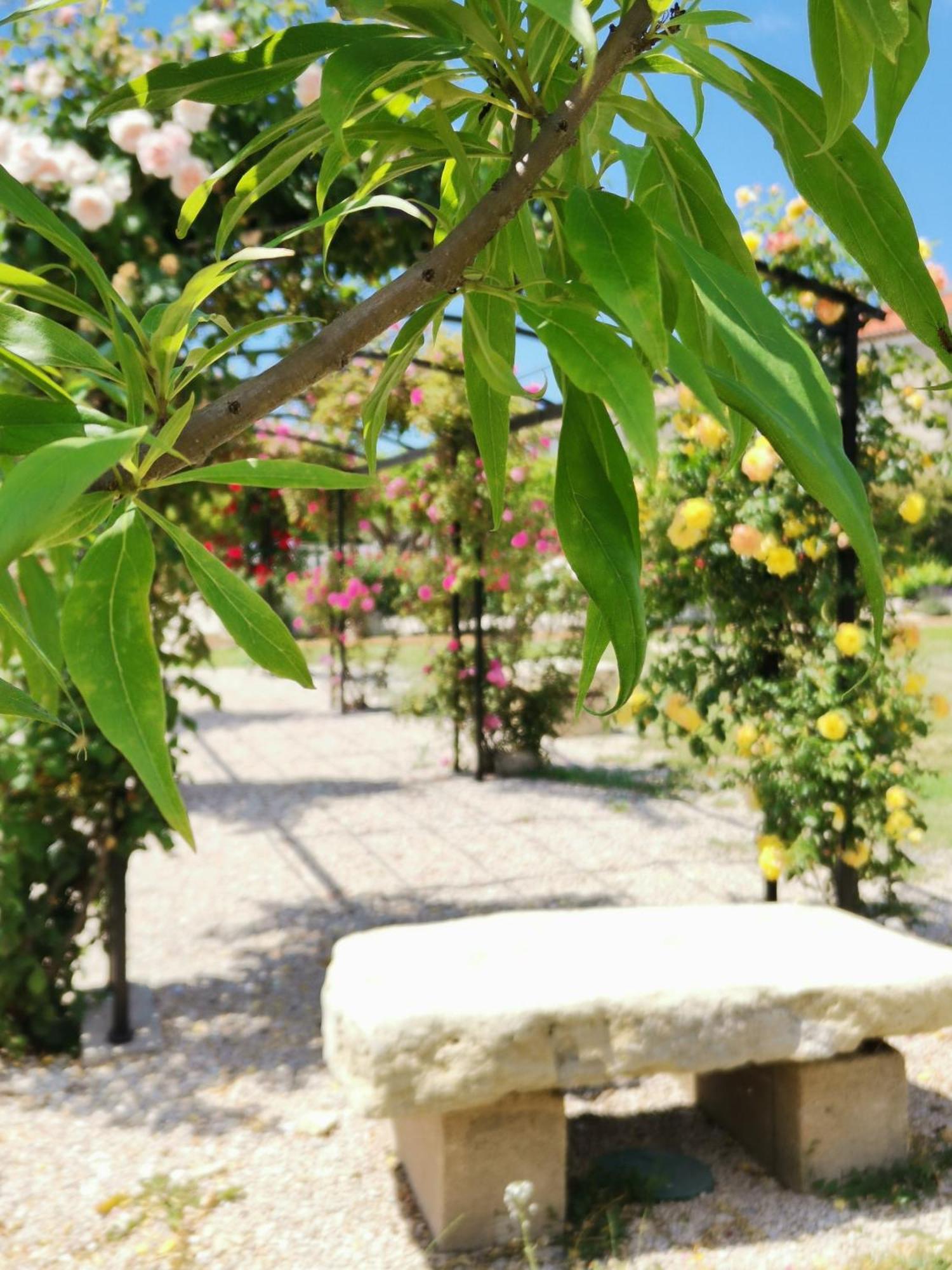 Gite En Provence "Rose" Modene 외부 사진